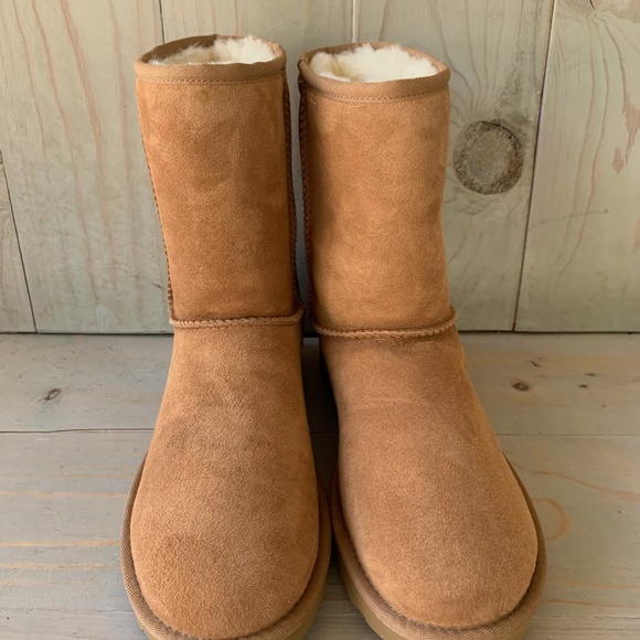 UGG CLASSIC SHORT 2 CHESTNUT WOMENS BOOTS US 10 NEW - Picture 3 of 6